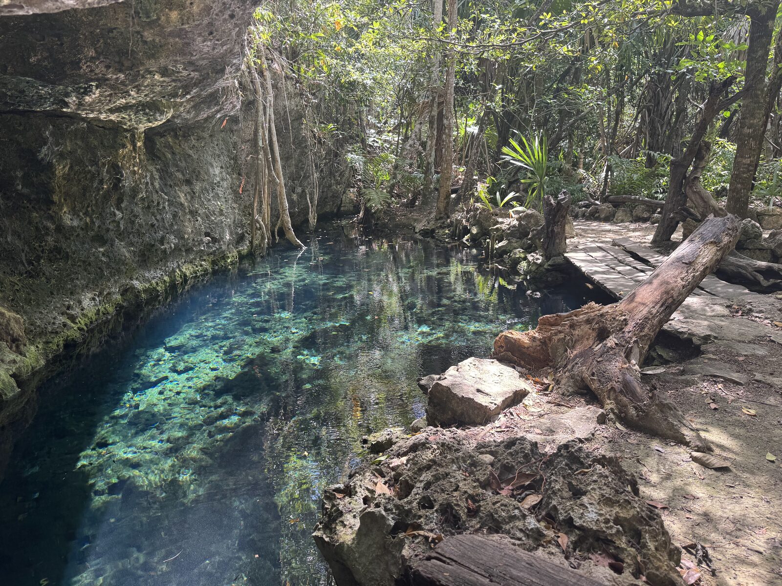 Cenote